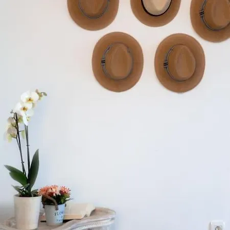 Amazing Vineyard View Luxury With Juccuzi!